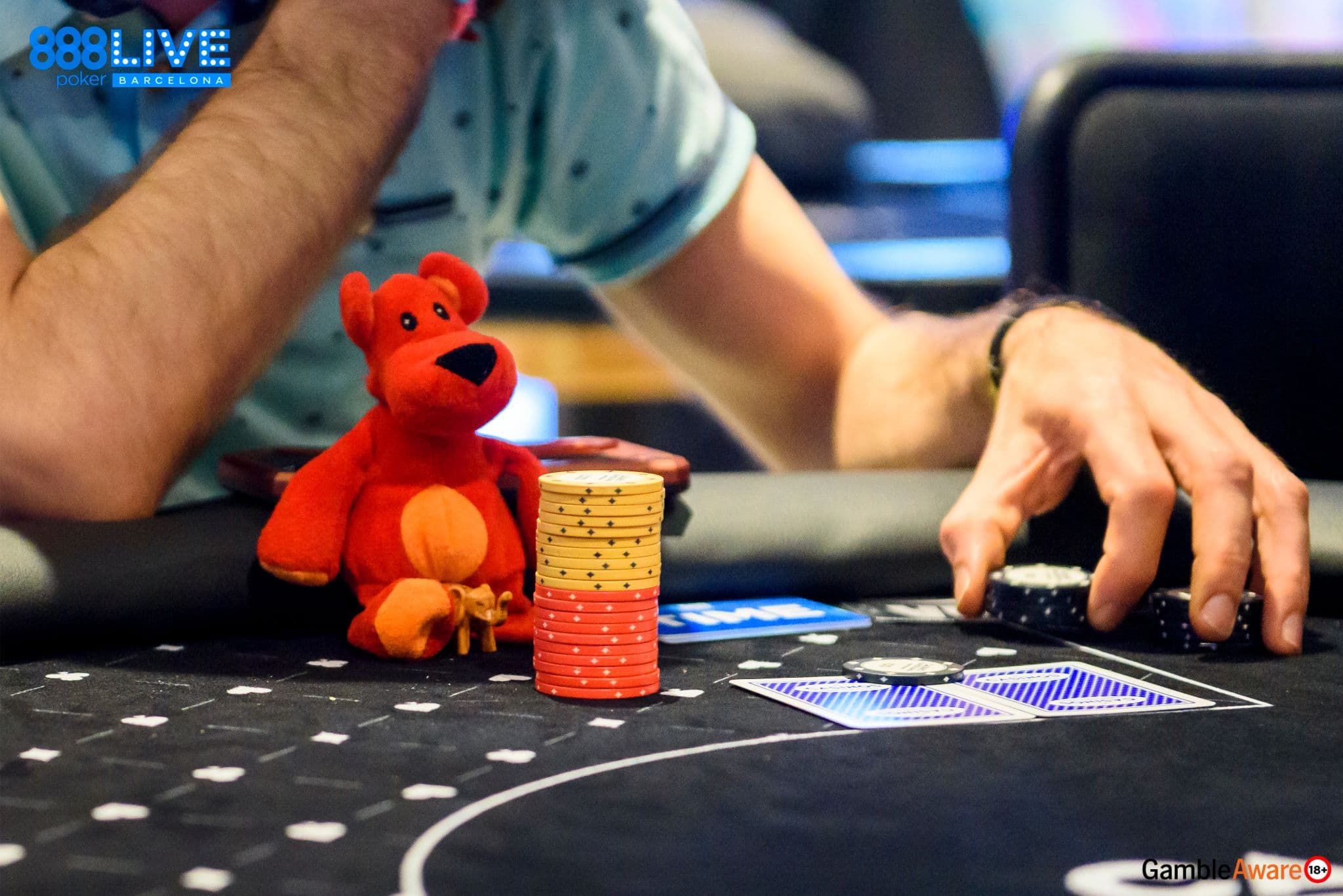 urso de peluche poker